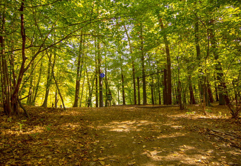 Społeczność Olsztyna walczy o wschodnią trasę obwodnicy. Trwa zbi&oacute;rka podpis&oacute;w