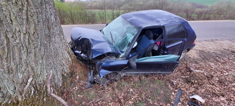 Na oczach policjant&oacute;w uderzył w drzewo. Miał 4 promile alkoholu