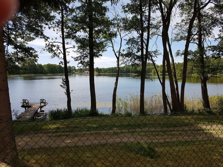 Czy to najdroższa działka na Mazurach? Cena i powierzchnia budzą zdziwienie