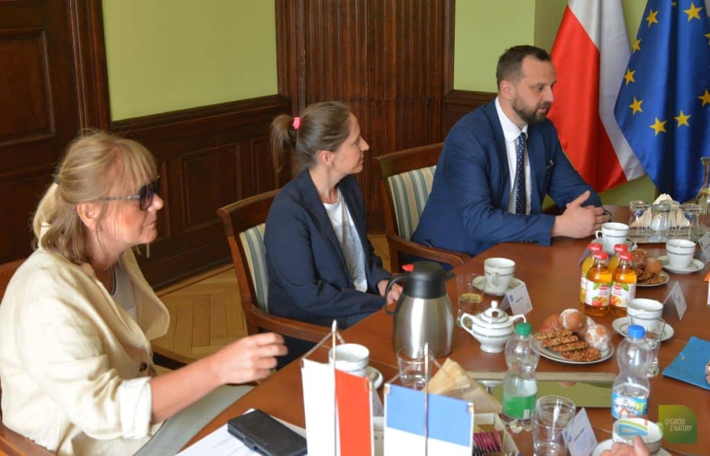 Ambasador Francji w Olsztynie. Perspektywy współpracy z Francją na horyzoncie polityka Olsztyn, Wiadomości, zShowcase