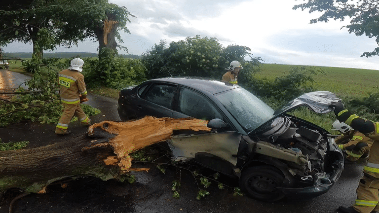 Nawałnica przeszła nad naszym regionem, strażacy mieli pełne ręce roboty!