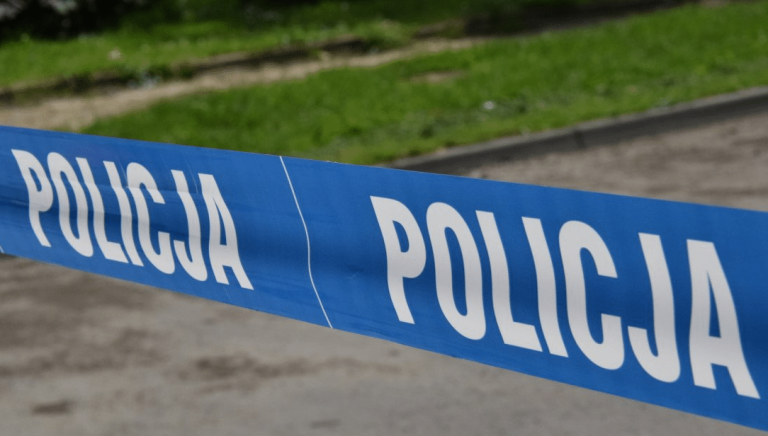 Rusza śledztwo w sprawie zagryzienia siedmiolatki przez psy