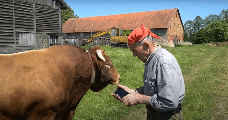 71-letni youtuber z Warmii testuje swoją pierwszą w życiu komórkę. Czy przetrwa ciężar byka?