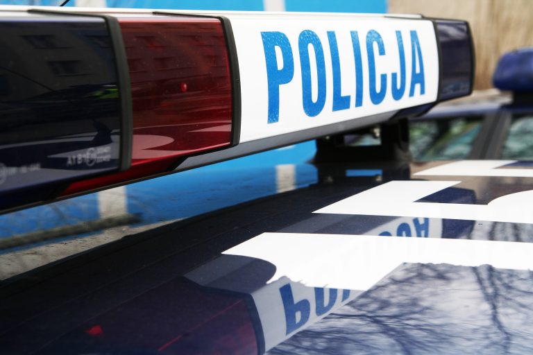 kogut radiowozu policyjnego