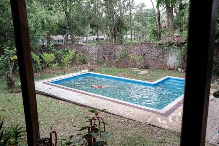 Baseny ogrodowe: stwórz własny wodny raj w ogrodzie