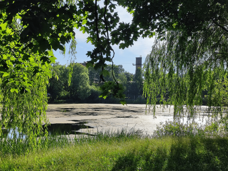 Rusza oczyszczanie Jeziora Długiego. Z czym to się wiąże?