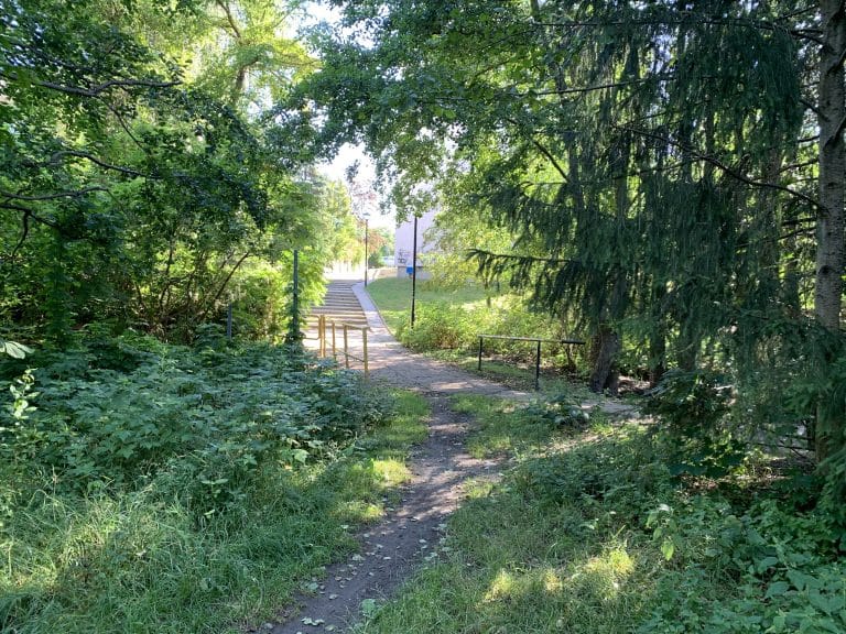Nowe życie dla zaniedbanego terenu! Wielka metamorfoza w Olsztynie!