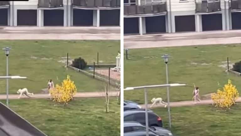 Moda z Niemiec dotarła do naszego regionu. Młodzież przebrana za psy wyprowadza się na smyczy