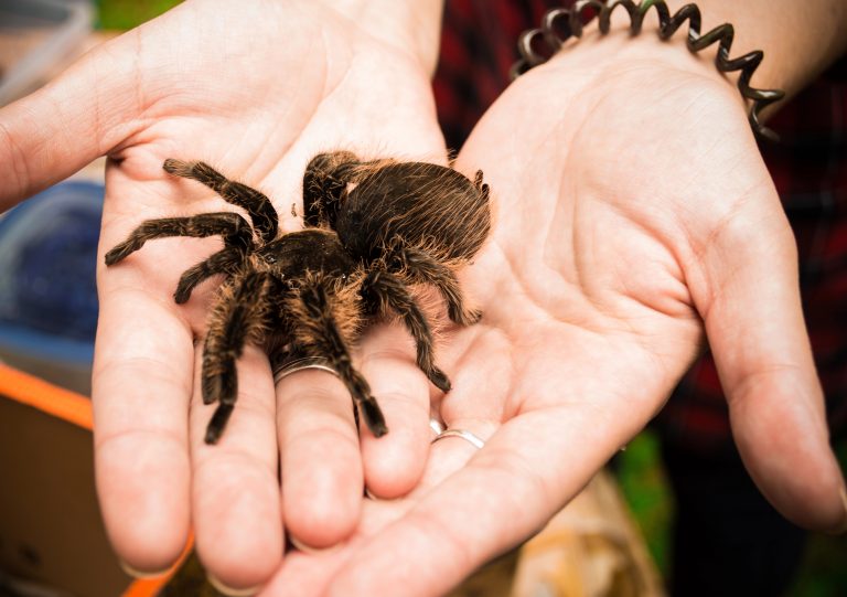 Przerażająca wystawa w Olsztynie. Odważycie się na nią p&oacute;jść?