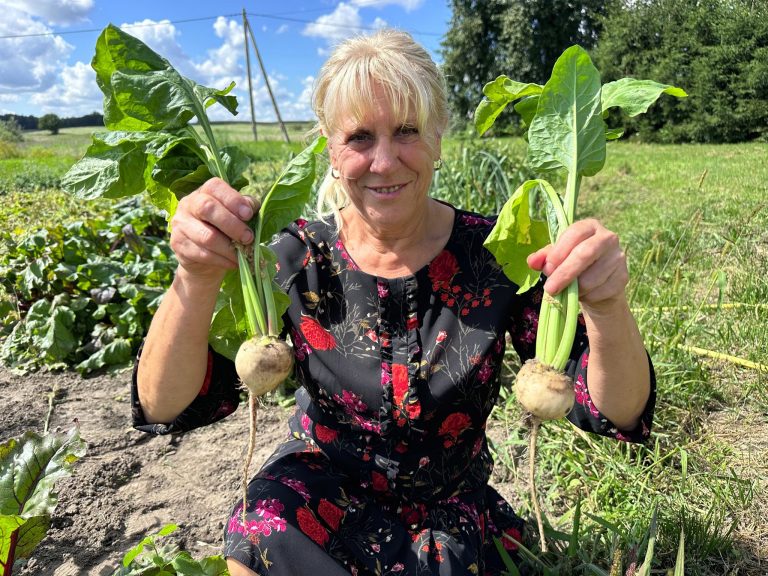 Pani Władzia zasiała czerwone, a wyrosły białe! Co się stało z burakami?
