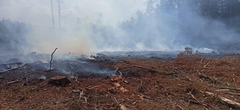 Pożar lasu w powiecie szczycieńskim