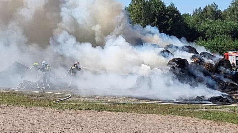 Kłęby dymu nad Nowym Gizewem. Strażacy próbują opanować pożar
