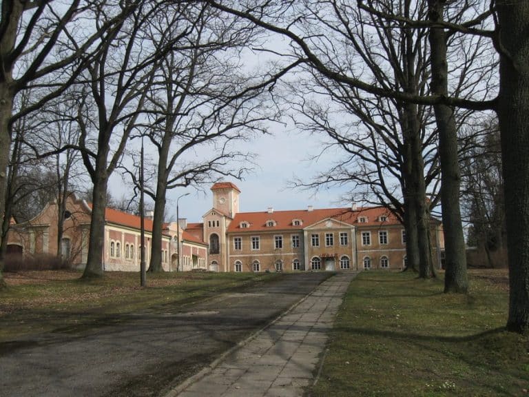 Walczą o ocalenie zabytkowego pałacu w Dobrocinie. Ma tu powstać coś spektakularnego!