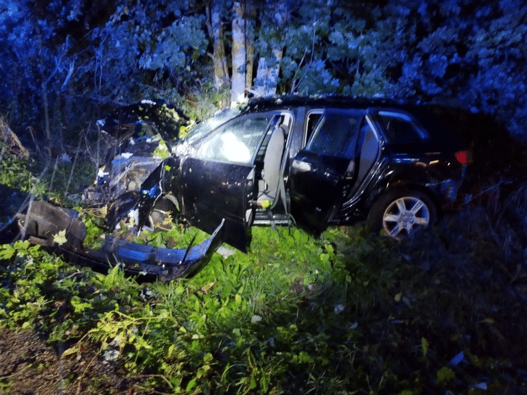 21-letni kierowca Audi uderzył w drzewo na DK16. Wiózł czterech pasażerów