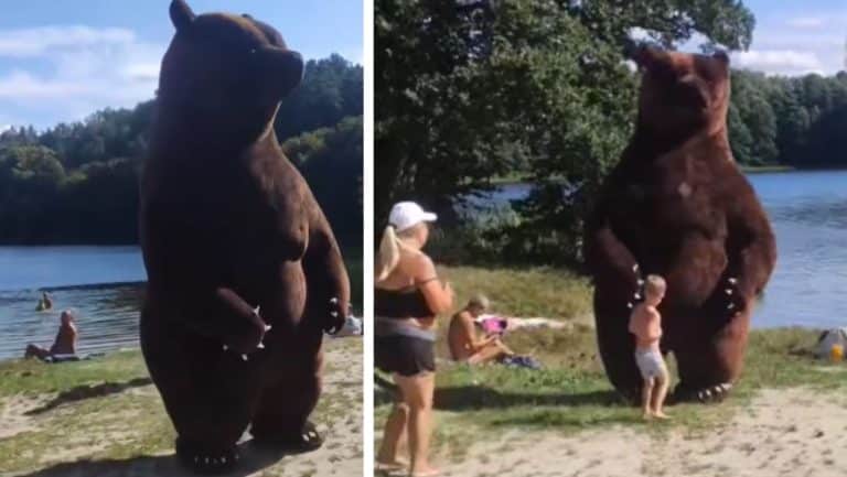 Skaczący niedźwiedź bawi dzieci nad jeziorem Skanda