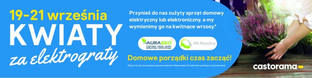 Rusza akcja "Kwiaty za elektrograty". Przyjdź do Castoramy Olsztyn i odbierz rośliny do domu i ogrodu przyroda Artykuł Sponsorowany, TOP