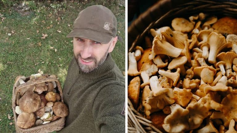 Politycy do lasu. Jest sezon na zbiory