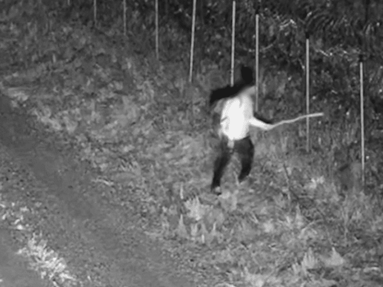 Obywatel Gwinei Bissau próbował siłą przedostać się do Rosji