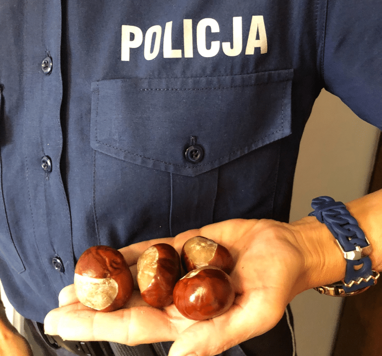 Rekordowa zbi&oacute;rka nakrętek &ndash; dzielnicowy zebrał 23,5 tony! Teraz zbiera kasztany