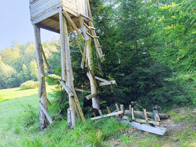 Niszczył ambony myśliwskie i był nieuchwytny &ndash; aż nakryli go z piłą mechaniczną w rękach