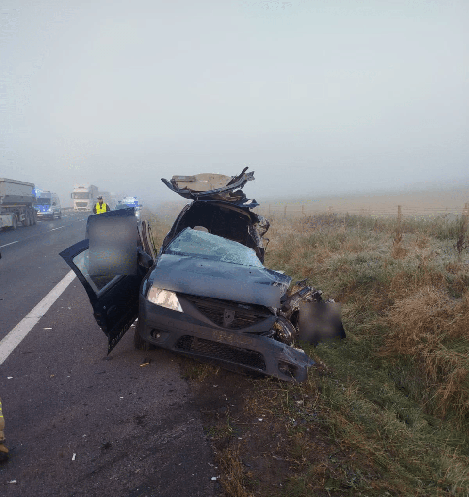 Tragiczny wypadek pod Olsztynem. Osobówka zderzyła się z ciężarówką do transportu zwierząt ruch drogowy Olsztyn, Wiadomości, zShowcase