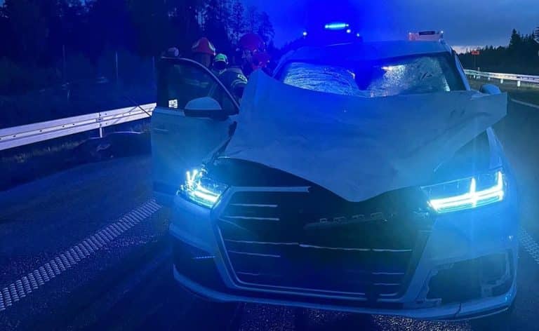 Zderzenie z łosiem na drodze ekspresowej