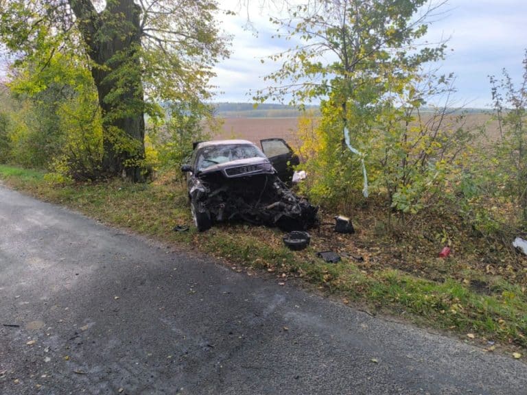 Uderzył w drzewo, bo chciał uniknąć kolizji z innym autem