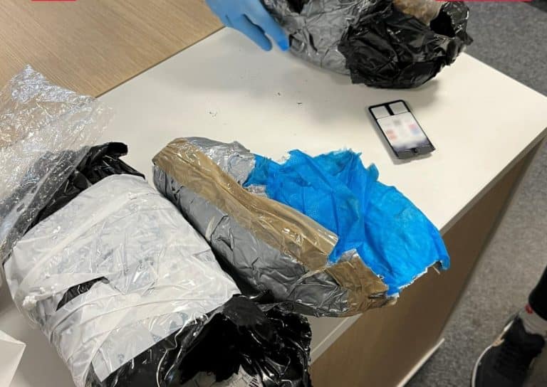 Pies wywęszył zakazaną substancję w sortowni przesyłek pod Olsztynem