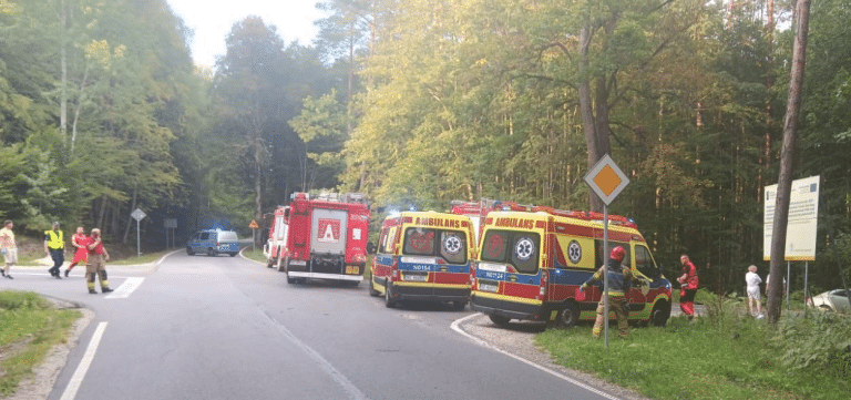 Zginęła młoda pływaczka &ndash; prokuratura oskarża kierowcę o spowodowanie wypadku