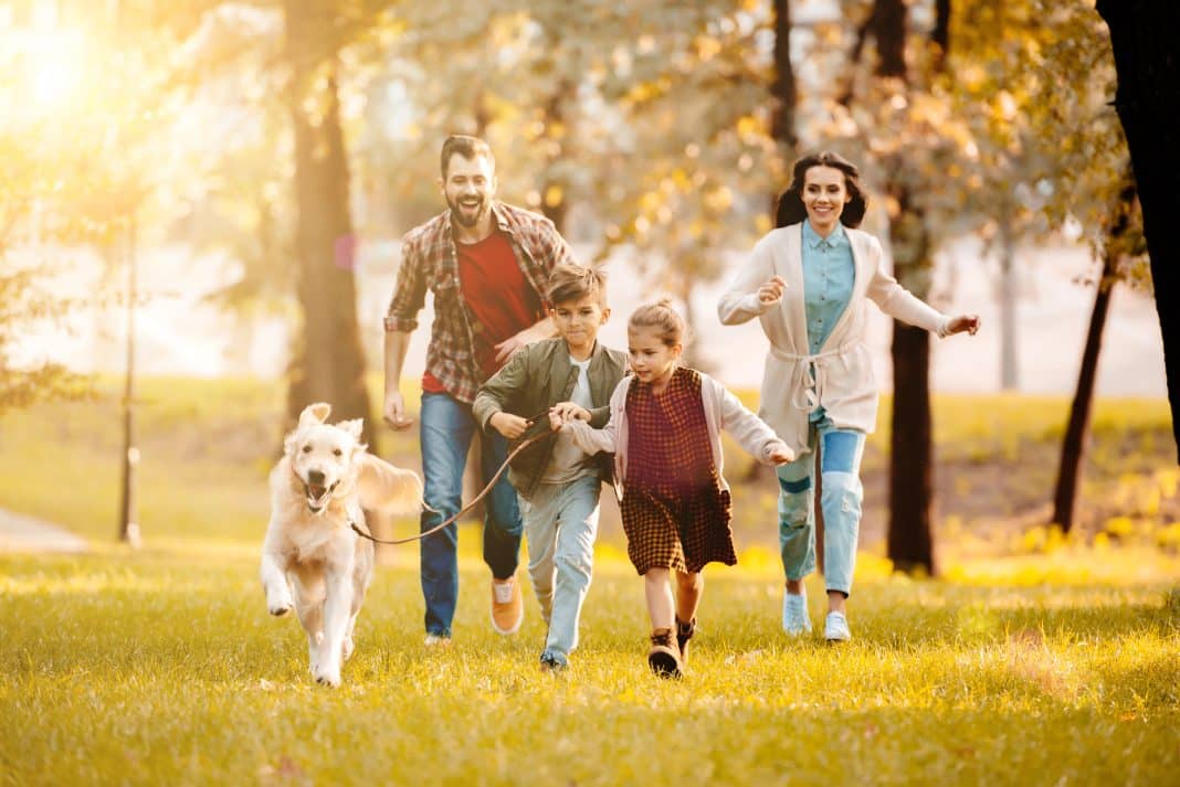 laughing family running with dog on meadow in park with setting sun behind