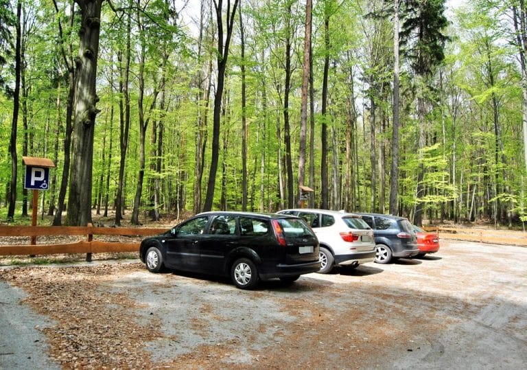 Gdy mężczyzna wrócił z grzybów, jego auta już nie było. Zgłosił kradzież, ale okazało się, że…