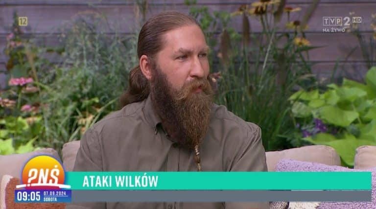 Tropiciel z powiatu szczycieńskiego w &bdquo;Pytaniu na śniadanie&rdquo; m&oacute;wił o atakach wilk&oacute;w