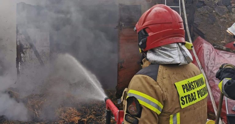 Pożar w gospodarstwie w powiecie iławskim: straty w samochodach i sprzęcie