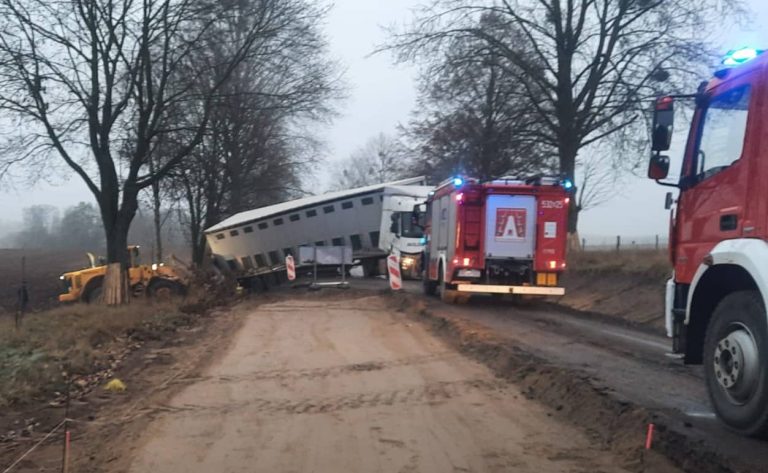 ciężarówka ze zwierzętami