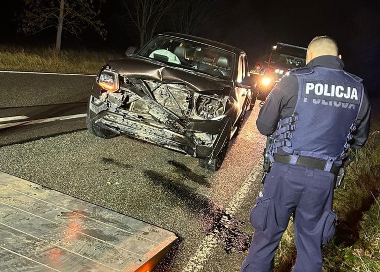 Wypadek na DK 51 &ndash; łania pod kołami samochodu