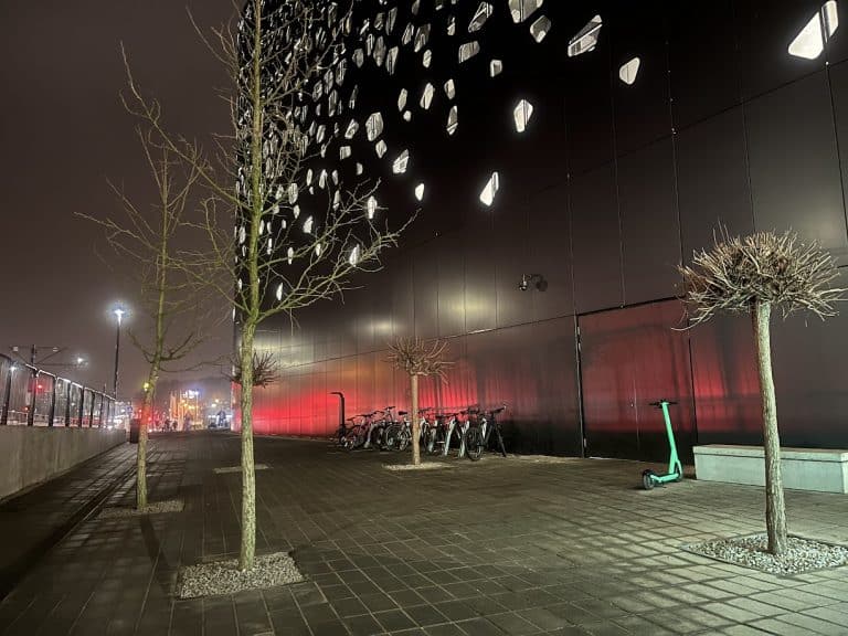 Nowe drzewa w ruchliwej części Olsztyna &ndash; Galeria Warmińska zmienia otoczenie