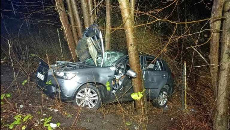 23-letni kierowca mitsubishi zakończył jazdę na drzewie. Co poszło nie tak?