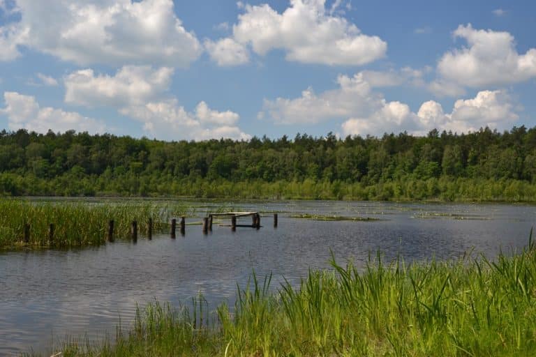 Nowe jezioro użytkiem ekologicznym w mieście