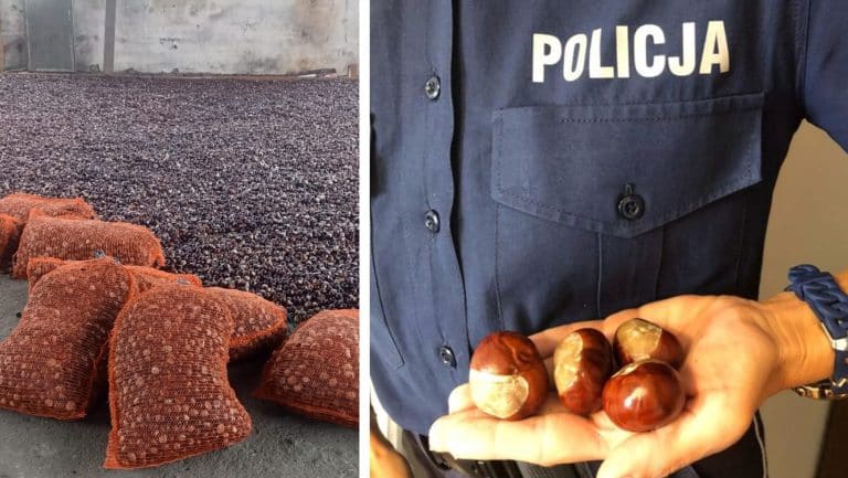 zeszłoroczna zbiórka