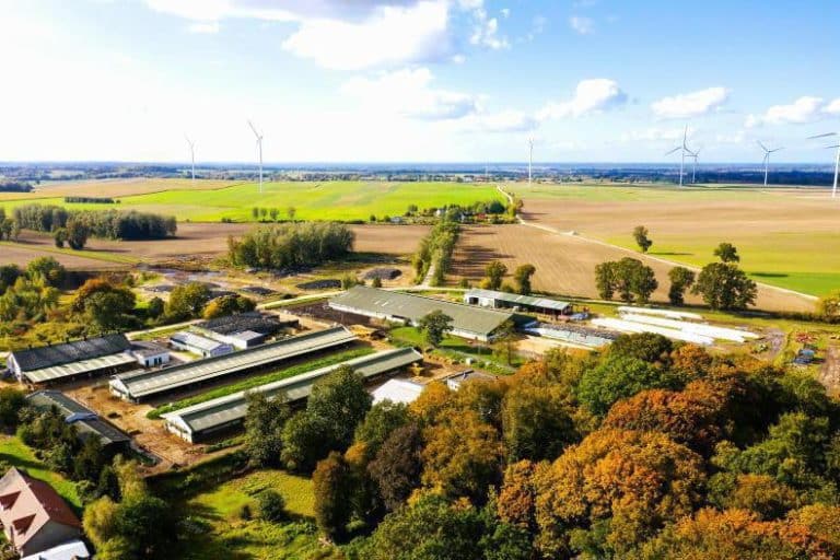 Ponad 400 ha do kupienia w warmińsko-mazurskim. Obcokrajowcy wyprzedają ziemię?