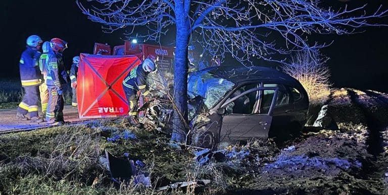 Uderzenie w drzewo pod Lidzbarkiem. Jakie są tego przyczyny?