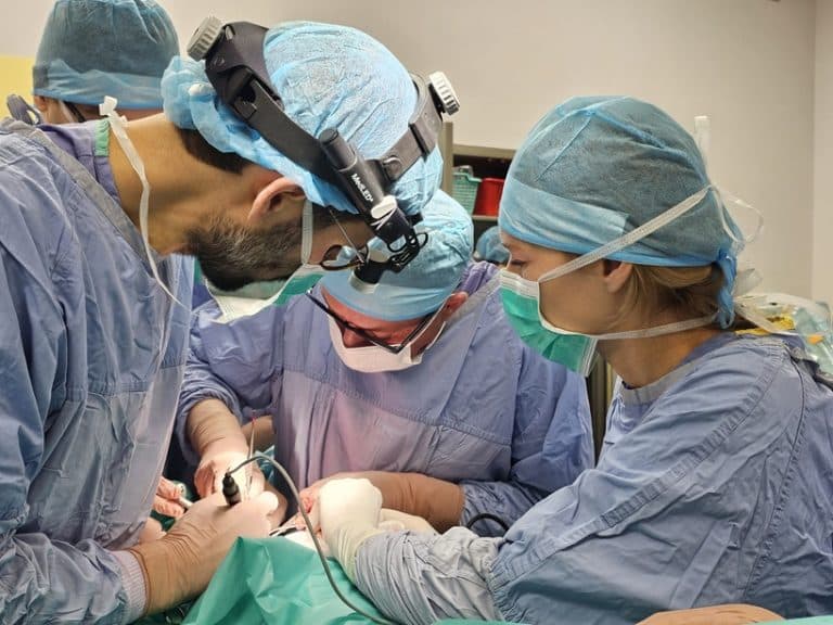 Przełomowa operacja w Olsztynie &ndash; 14-latka z szansą na nowe życie