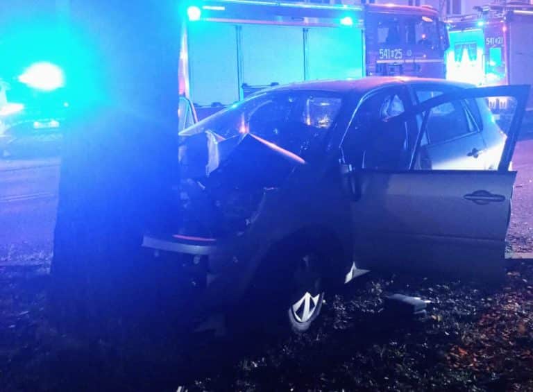 Renault uderzyło w drzewo. Czteroosobowa rodzina, w tym dwoje dzieci, trafiła do szpitala