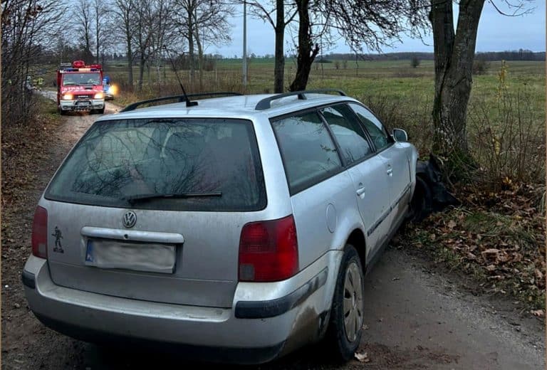 volkswagen uderzył w drzewo