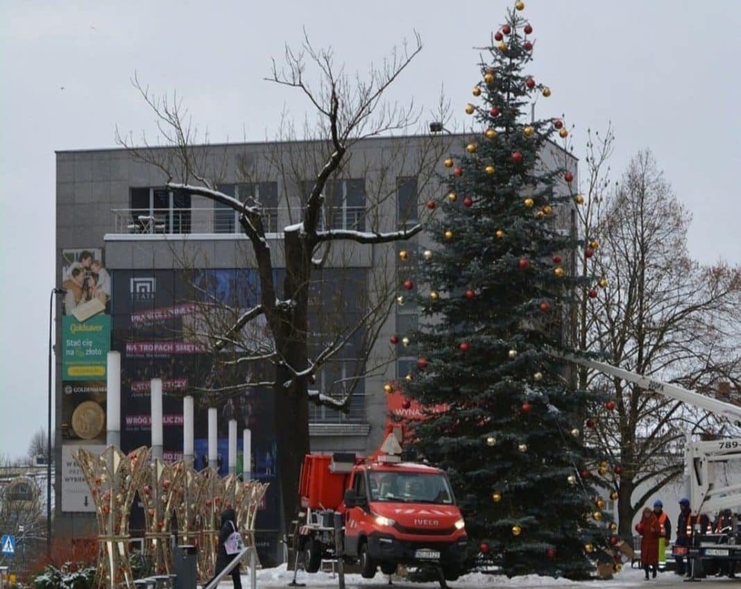 choinka pod ratuszem