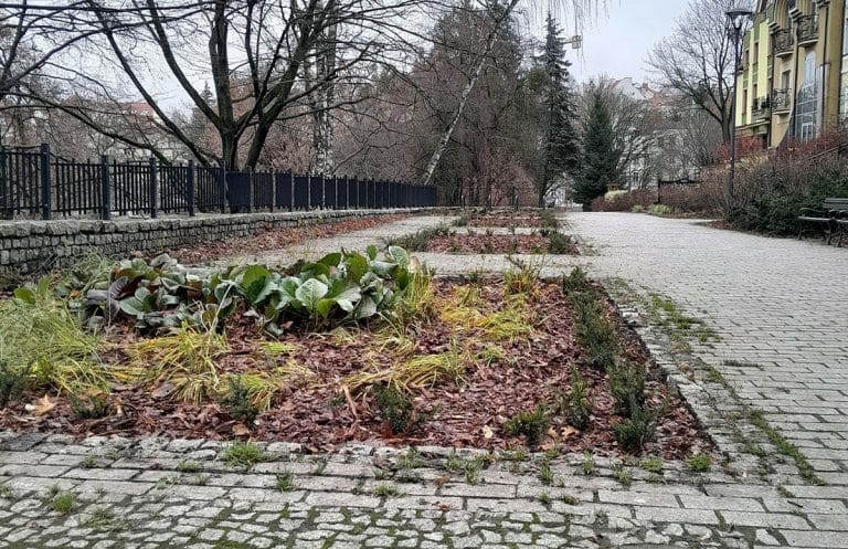 pochmurnie w Olsztynie