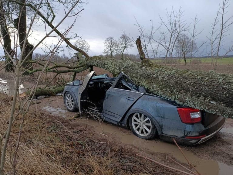 przygnieciony samoch&oacute;d