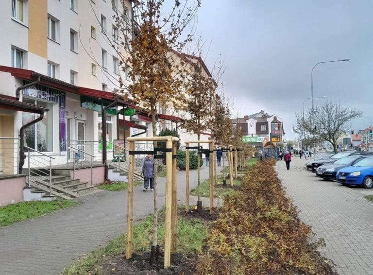 Nowe nasadzenia w miejskiej przestrzeni. W centrum też się zazieleni?