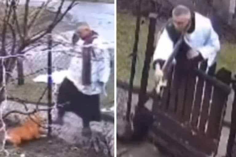 ksiądz wdał się w konflikt z psem
