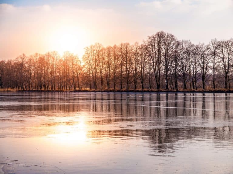 słoneczna niedziela